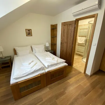 Rybnicek Guest house *