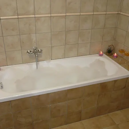 Rybnicek Guest house *