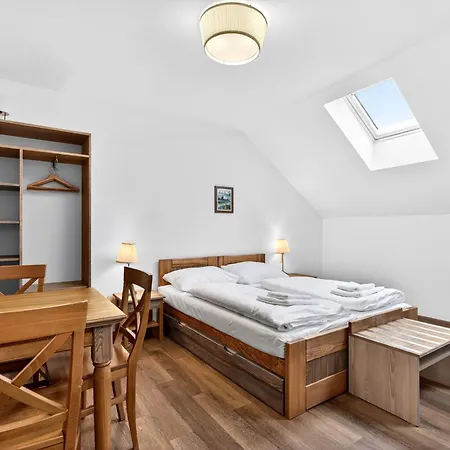 Guest house Rybnicek 4*